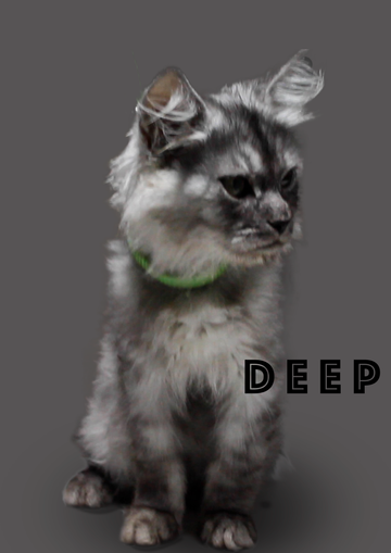 Preventing Play Aggression: How to Teach Your Cat Not to Bite Hands