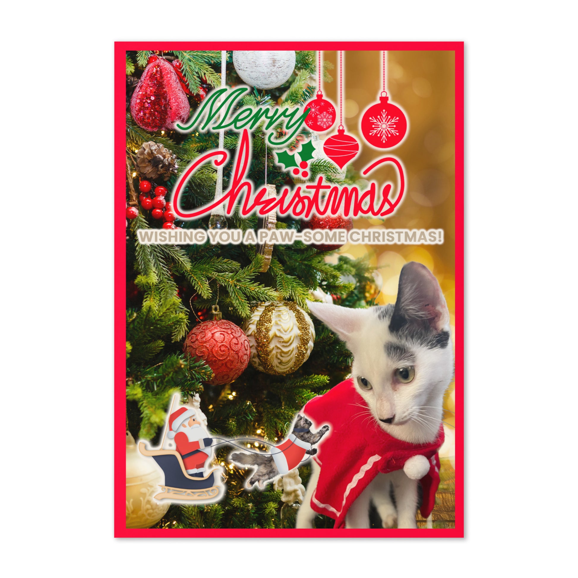 Christmas Greeting Card Design 8 POSTCARD The DEEP Store