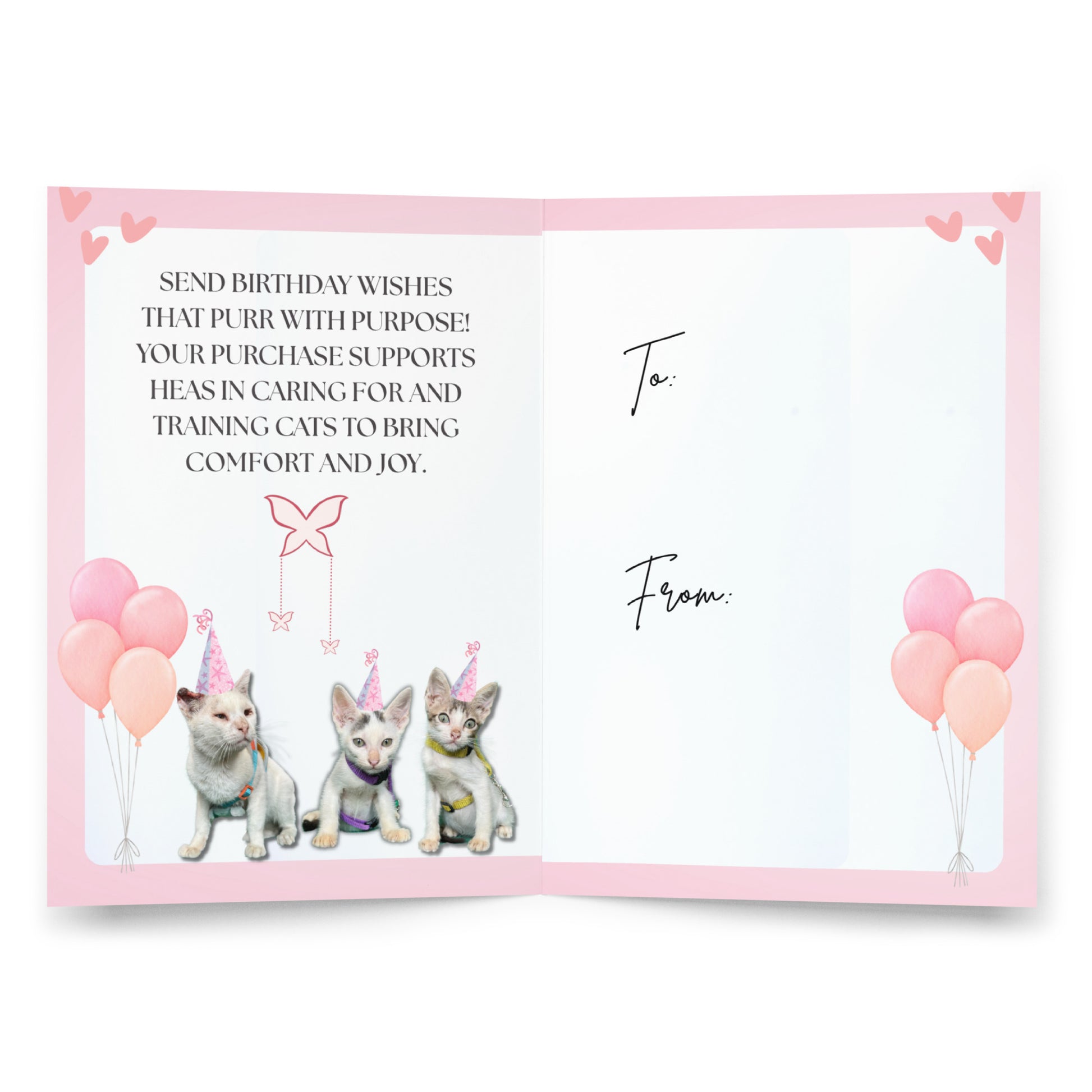 Birthday Greeting Card Design 4 POSTCARD The DEEP Store