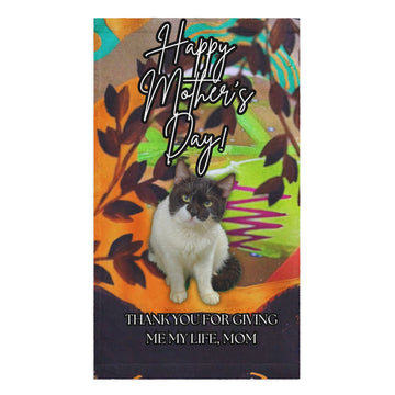 Random Cat Hand towel - Mother's Day Hand towel SUBLIMATION The DEEP Store Default Title